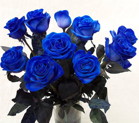 Нетрадиционен букет от сини рози